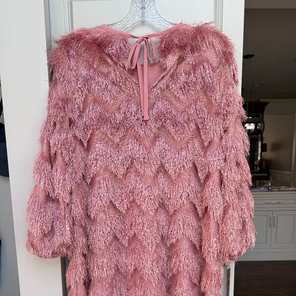 NWT Anthropologie Hutch Fringed Chevron Shift Dress - Picture 8 of 9